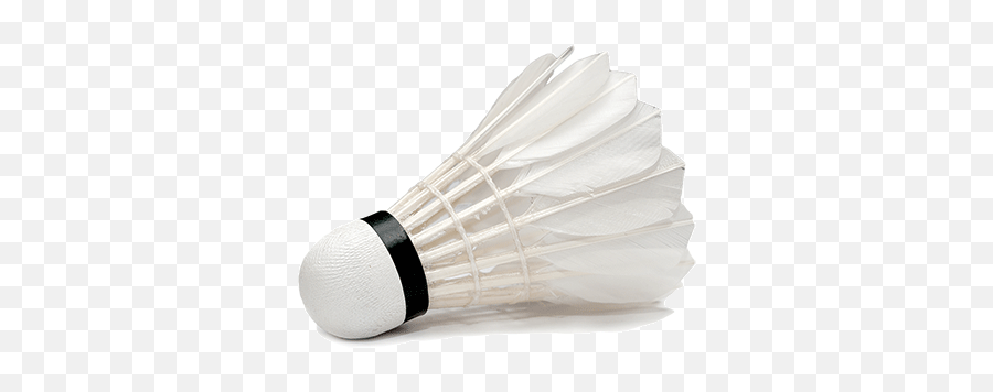 50 Things Seattle Gave The World - Shuttlecock Png,Badminton Icon Jpg