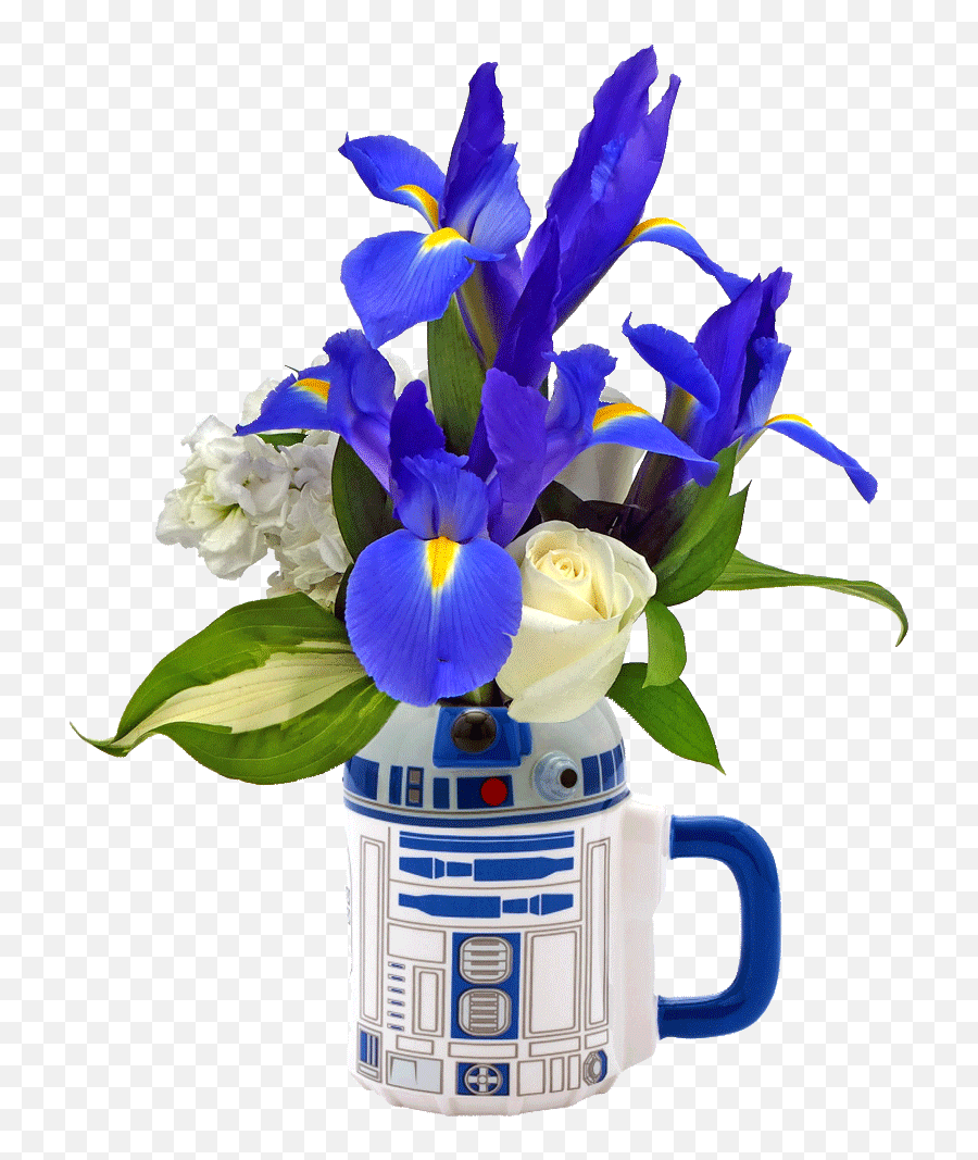 Star Wars R2 - D2 Flower Mug Flower In A Mug Png,R2d2 Png