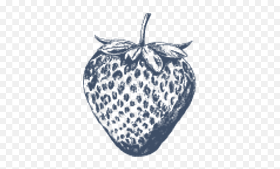 Annabelu0027s Deliciously British Strawberry Grower Yorkshire Png Icon