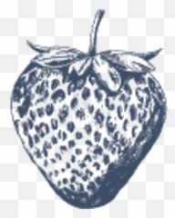 Annabelu0027s Deliciously British Strawberry Grower Yorkshire Png
