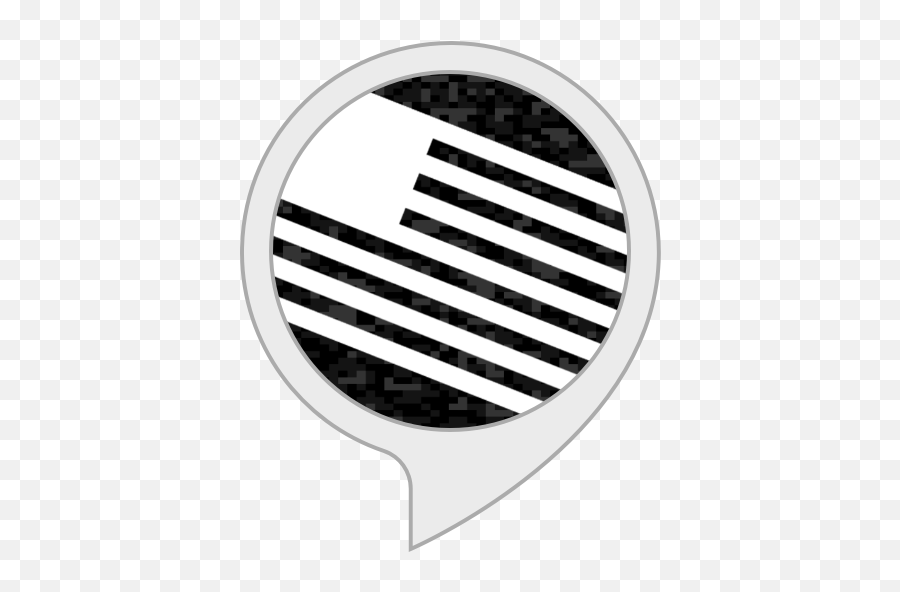 Amazoncom Vet Radio Alexa Skills - Dot Png,Black And White American Flag Icon