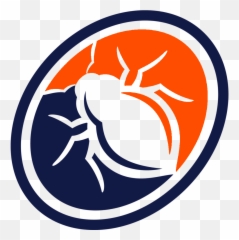 Do Ants Like Vinegar What Does To - Arachnid Png,Antd Icon
