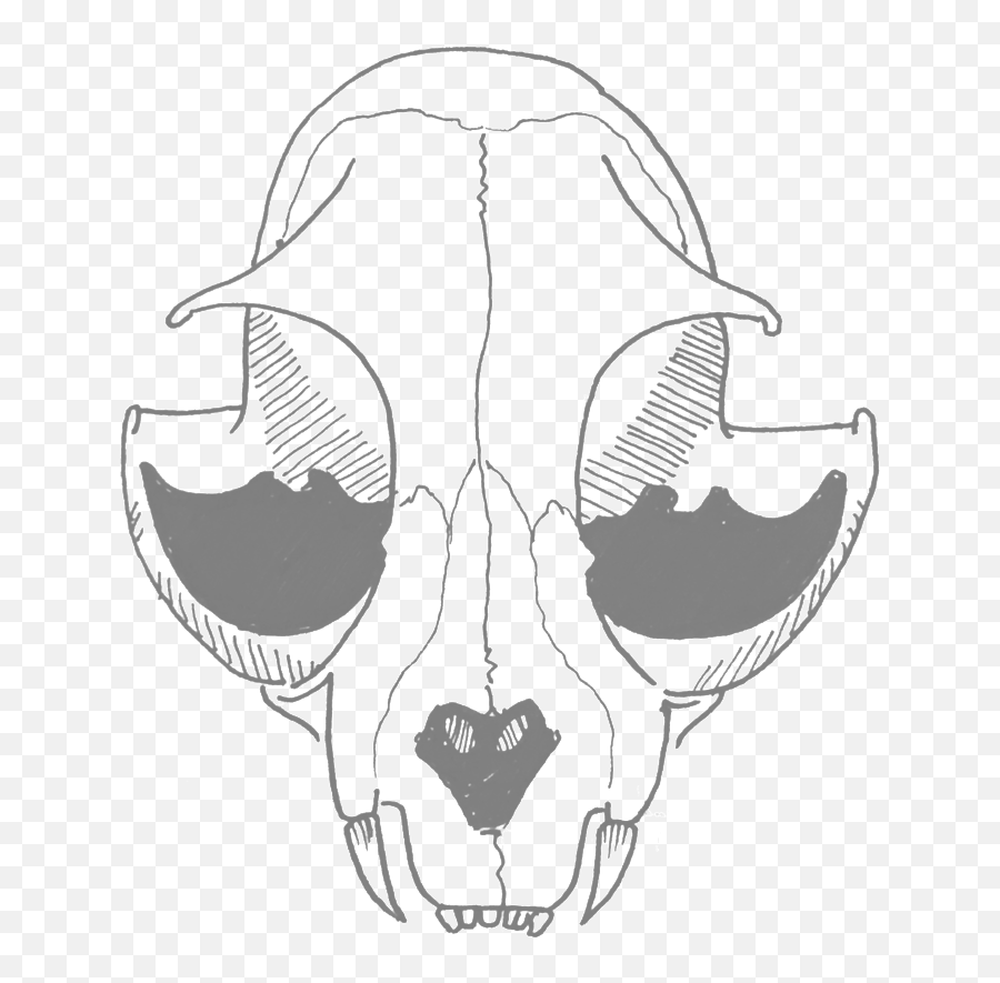 Scotoscopes Png Cartoon Skull