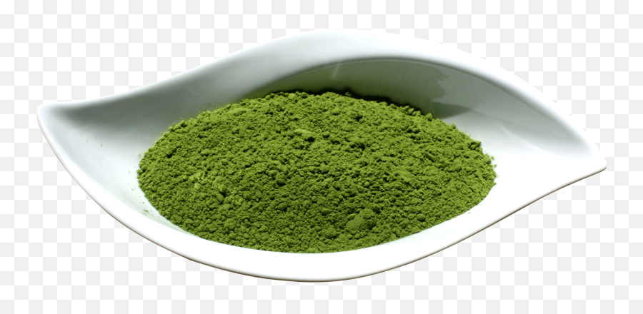 Morifacoid Important Facts About The Moringa Leaves - Superfood Png,Gunpowder Icon