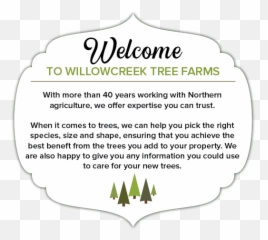 Utah Tree Transplanting Service Large Trees For Sale Png