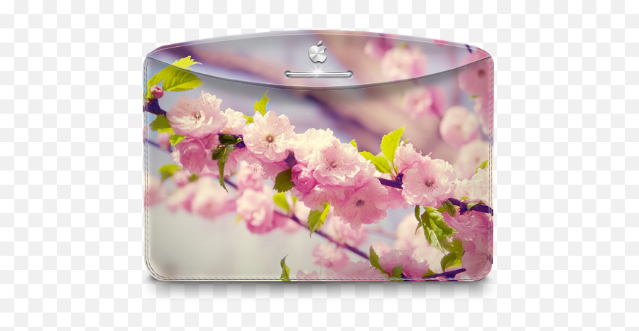 Folder Nature Cherry Tree Icon Darktheme Iconset - Cherry Blossom Png,Cherry Blossom Tree Png