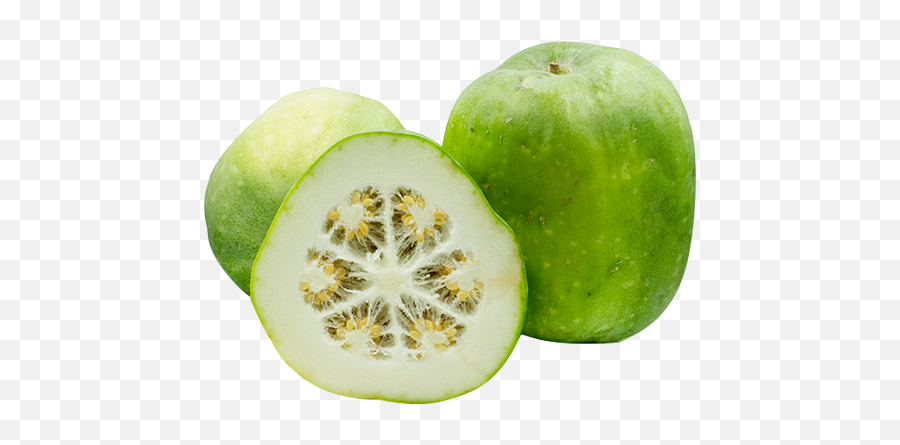 Download Ash Gourd - Winter Melon Png Transparent,Gourd Png