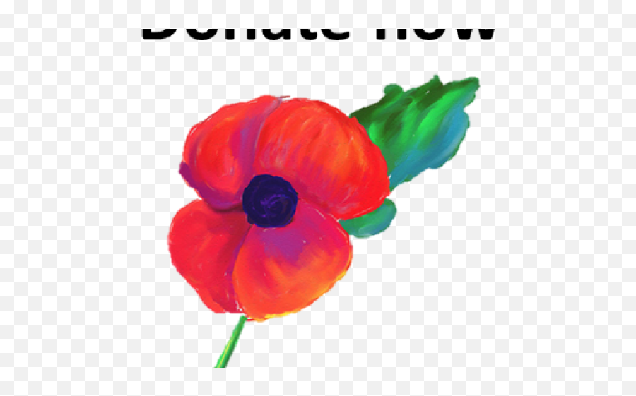 Poppy Clipart Appeal - Remembrance Day Poppy Painting Corn Poppy Png,Poppy Png