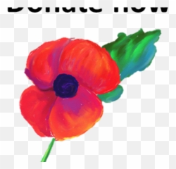 Poppy Clipart Appeal - Remembrance Day Poppy Painting Corn Poppy Png,Poppy Png