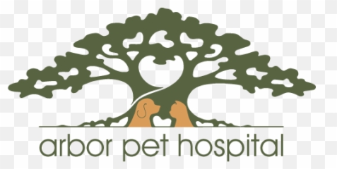 Veterinarian In Wilton Manors Fl Animal Hospital Fort - Arbor Pet Hospital Png,Animal Logo