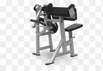 Biceps Curl - Matrix Vy 431 Png,Bicep Png