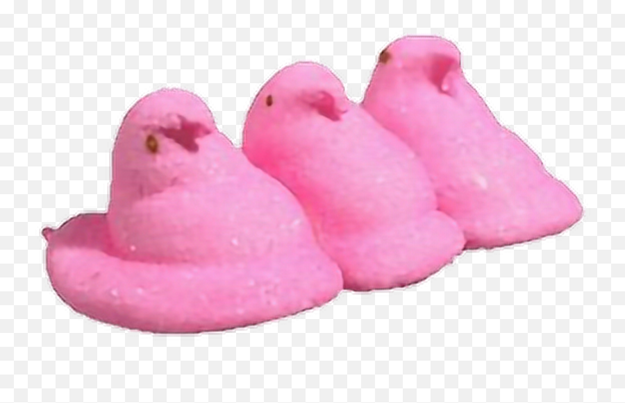 Download Peep Peeps Chick Chicks Candy - Marshmallow Peep Transparent Png,Peeps Png