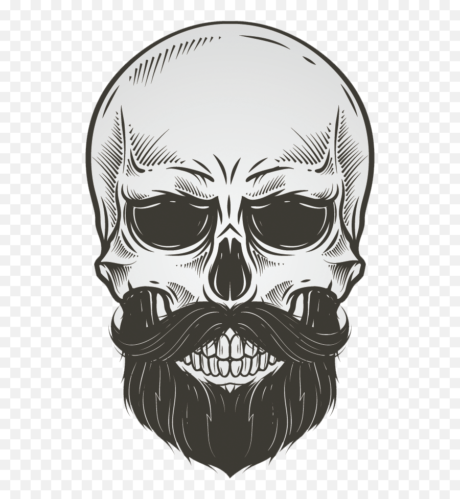 Illustration Vector Drawing Beard - Vector Skull With Beard Png,Wizard Beard Png