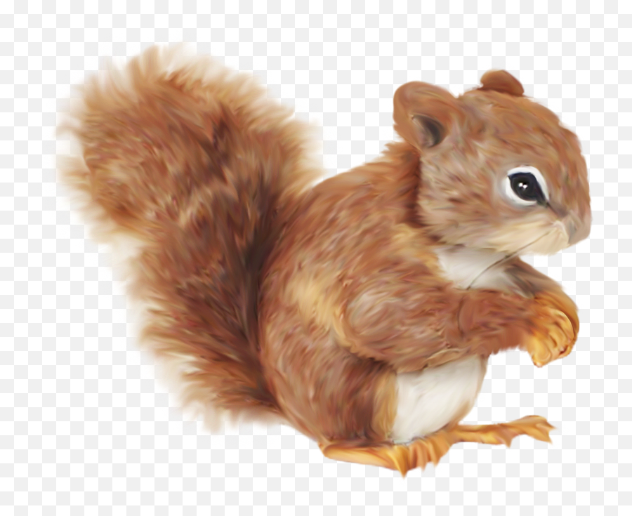 Squirrel Cartoon Clip Art - Transparent Red Squirrel Cartoon Png,Squirrel Transparent