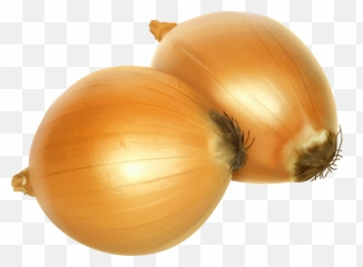 Transparent Png Clipart Free Download - Background Onion