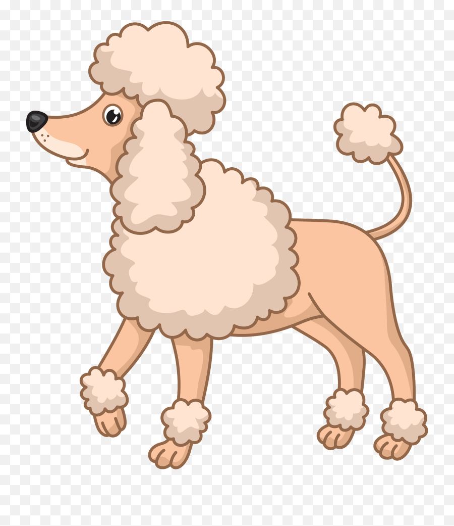 Download Poodle Clipart Hd Png - Poodle Dog Clipart,Poodle Png