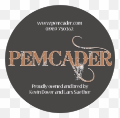 Pemcader Logo U2013 Zara Boyle - Sakarya Park Png,Zara Logo Png