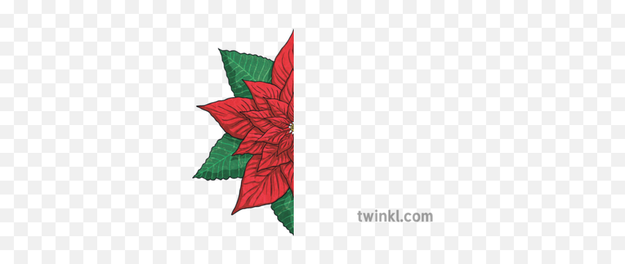 Half Poinsettia Flower Leaves Plant Christmas Xmas Festive - Illustration Png,Christmas Leaves Png
