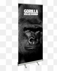 Gorilla Roller Banner High Quality Banners Uk - Monkey Png,Gorilla Transparent Background