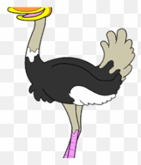 Download Cartoon Ostrich Png Image With - Ostrich Clipart,Ostrich Png