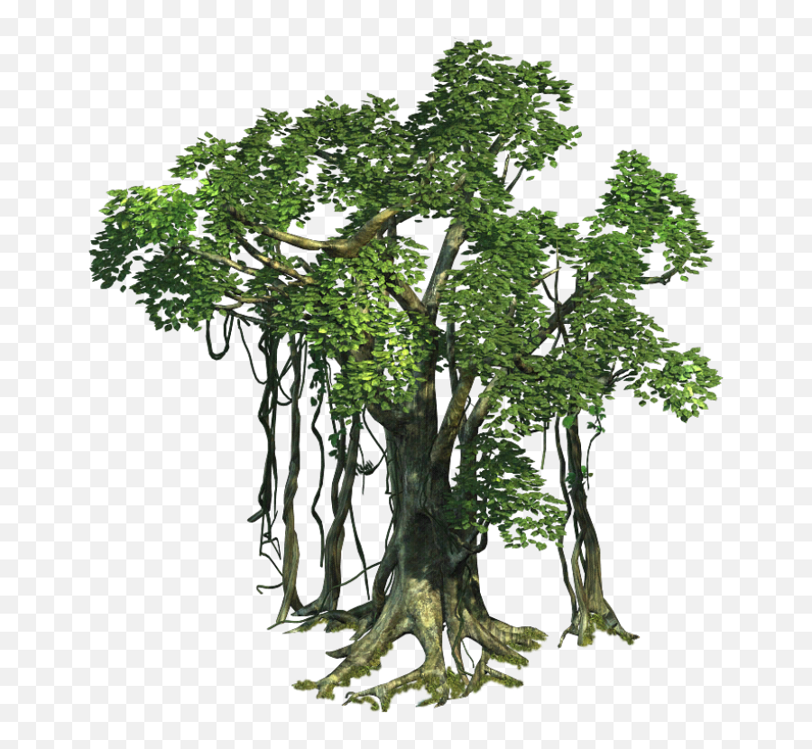 Realistic Tree Free Png Image Arts - Jungle Tree Png Transparent,Dollar Tree Png