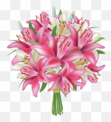 White And Pink Lilies Flowers Bouquet - Of Clipart Png