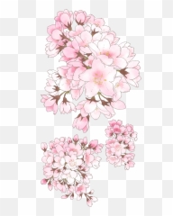 Yvonne De Salle - Anime Cherry Blossom Drawing png