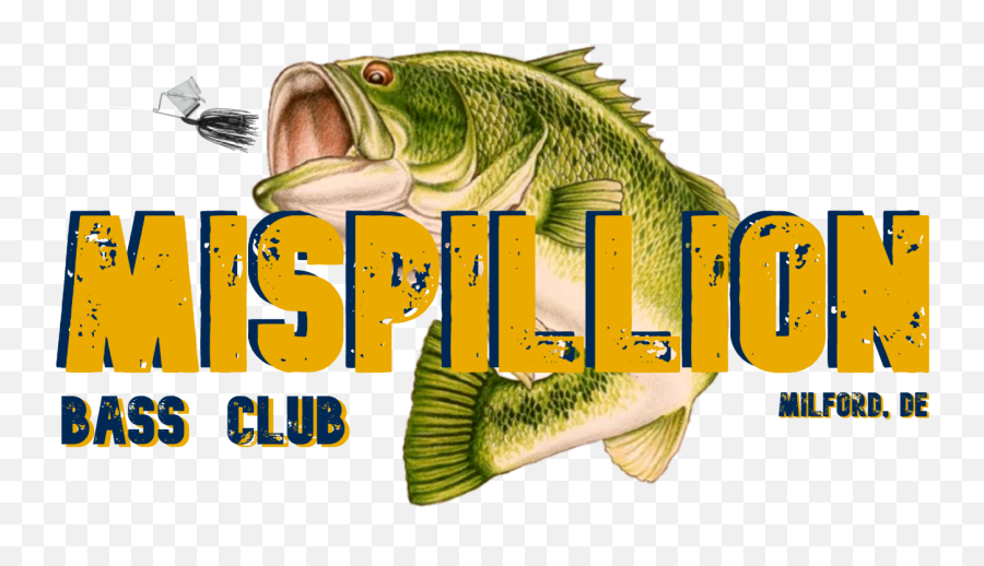 Mispillion Bass Club - Mispillion Bass Club Home Pull Fish Out Of Water Png,Bass Fish Logo