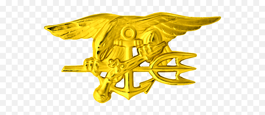 Navy Seals Special Warfare Insignia - Navy Seal Badge Png,Navy Seal Png