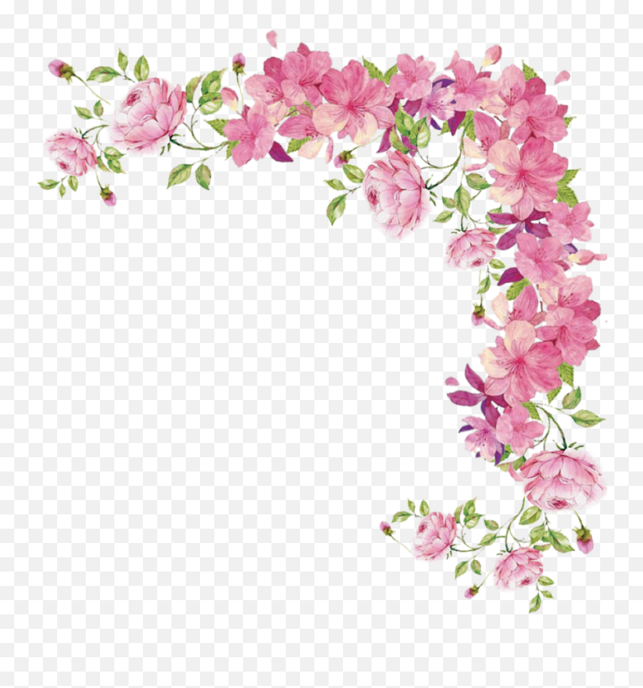 Pink Flowers Png Hd Transparent Pink Flower Border Sakura Flower Png Free Transparent Png Images Pngaaa Com