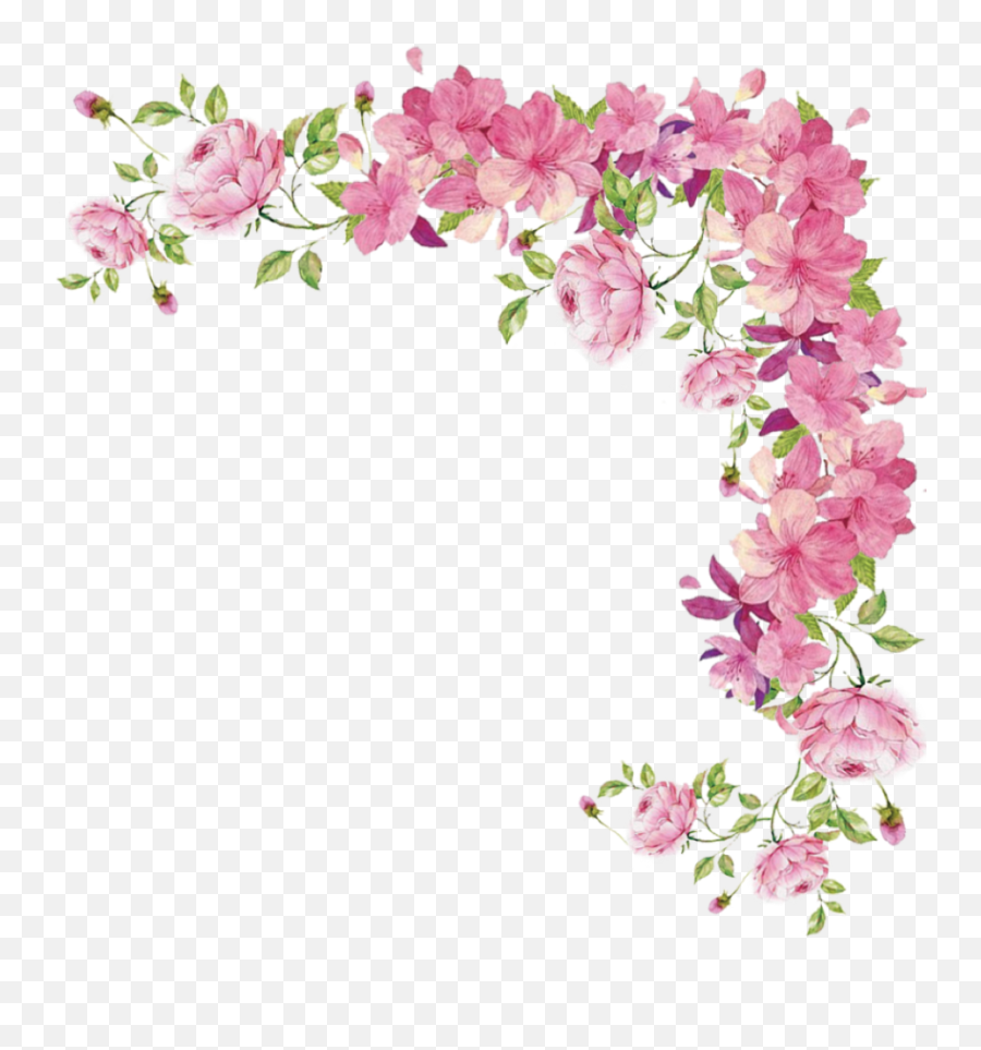 Pink Flowers Png Hd Transparent Pink Flower Border Free Transparent Png Images Pngaaa Com