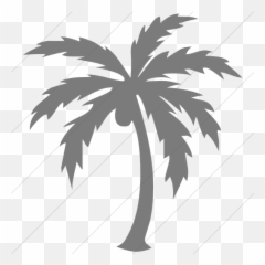 Simple Dark Gray Classica Palm Tree Icon - Black Transparent png