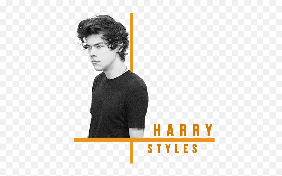 One Direction - Golden Harry Styles 50 U201cheu0027s Really In Harry Styles 2013 Transparent Png,Liam Payne Twitter Icon