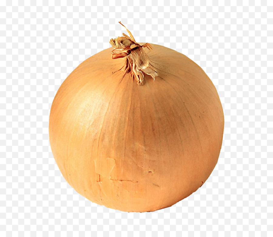 Download Onion Png Image For Free - White Onion,Onion Png