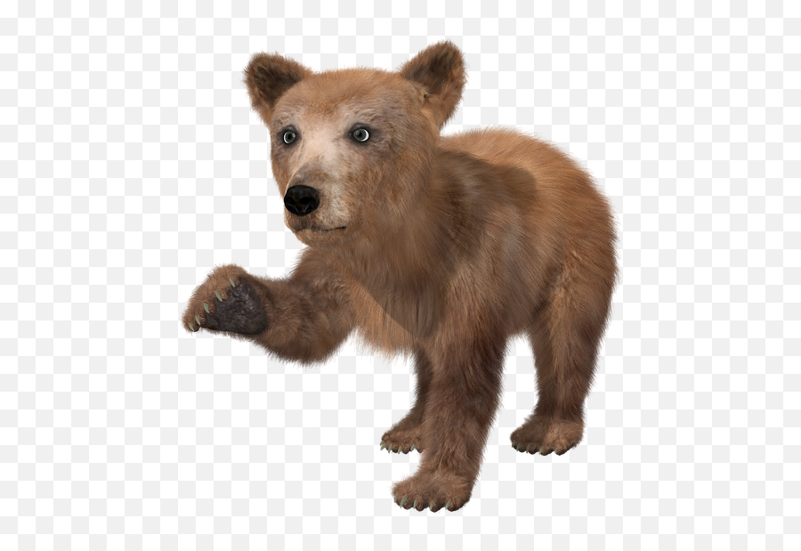 Bear Png High - Quality Image Png Arts Baby Bear Transparent Background,Bear Png