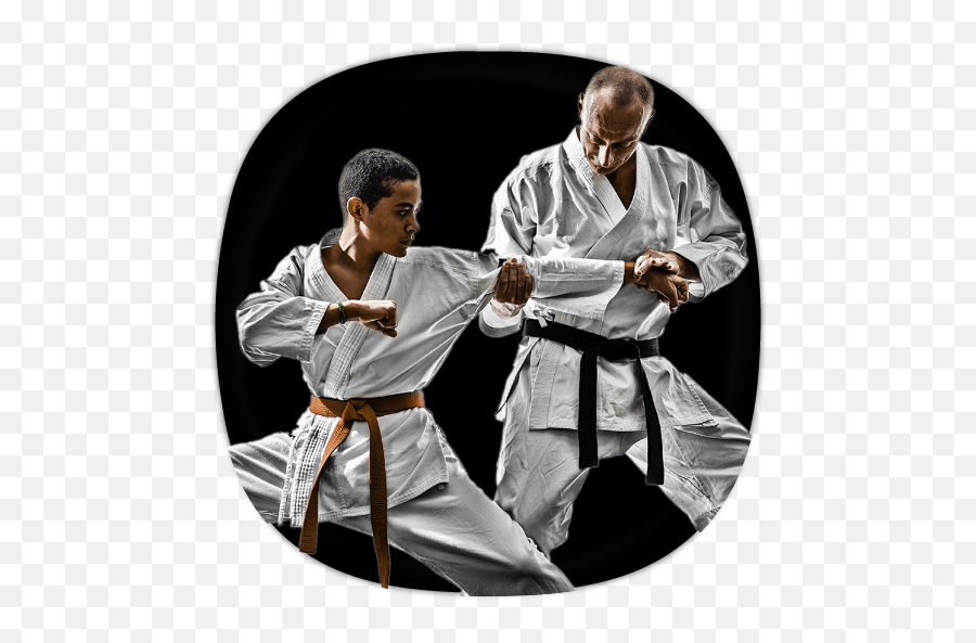 Karate Training Guide 11 Download Android Apk Aptoide - Martial Arts Png,Karate Belt Icon