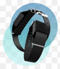 Immutouch - Watch Strap png