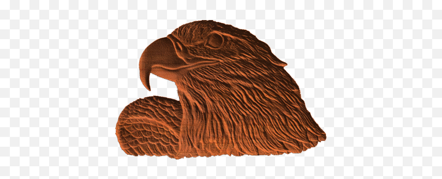 Eagle Head - Ab003 Hawk Png,Eagle Head Png