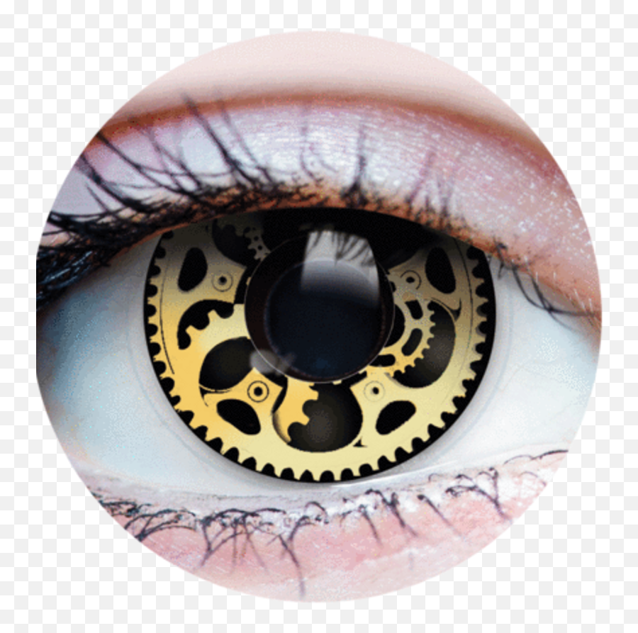 Primal Steampunk - Gear Colored Contacts Png,Steampunk Png