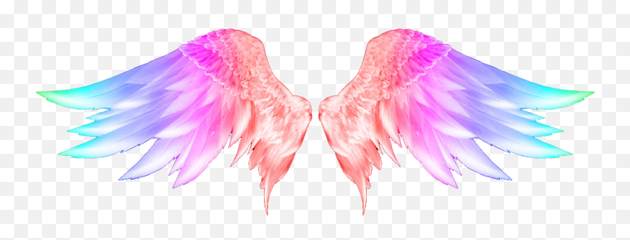 Free Png Wings - Konfest,Angel Wings Transparent Background
