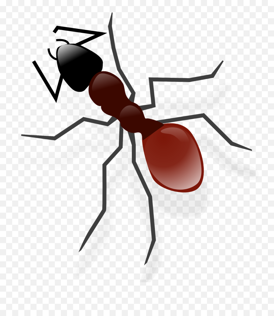 Ant Png Image With Transparent Background - Bullet Ant Drawing,Ant Png