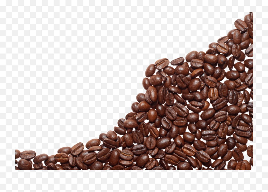 The Downtown Coffee Company - Coffee Beans Frame Png,Coffee Beans Transparent