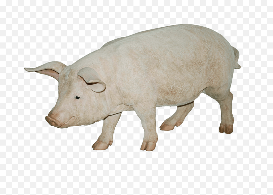 Pig Png Transparent Background - Pig Transparent Background Png,Pig Png