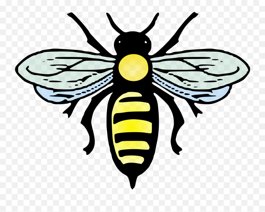 Abeille - Bee Creative Commons Png,Bees Png