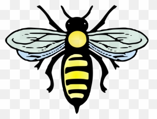 Abeille - Bee Creative Commons png
