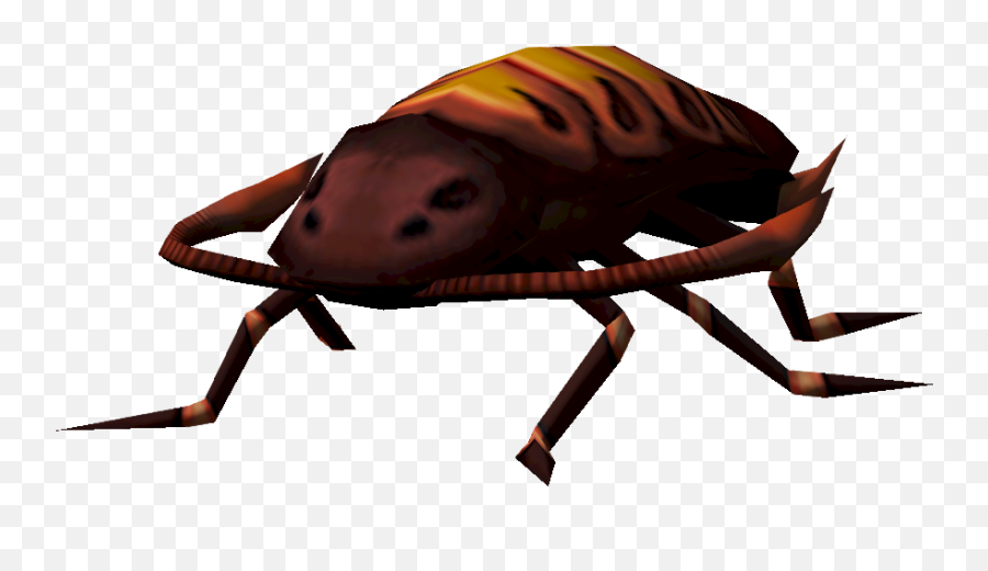 Warped Cockroach - Weevil Png,Roach Png