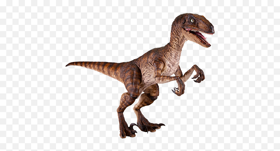 Jurassic Park Velociraptor Sixth Scale - Jurassic Park Velociraptor Figure Png,Velociraptor Png