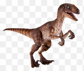 Jurassic Park Velociraptor Sixth Scale - Jurassic Park Velociraptor Figure Png,Velociraptor Png