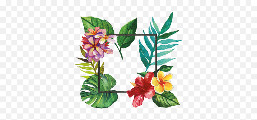 Download Hd Tropical Frame Floral Decal - Marcos Tropical Png,Tropical Png