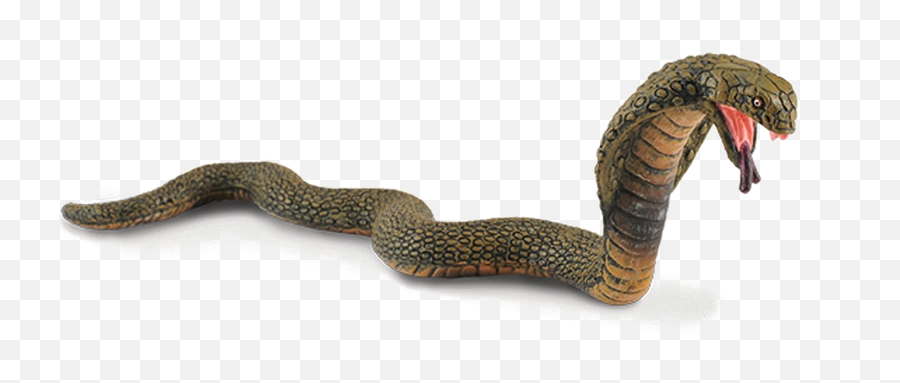 Download King Cobra Png Image - Cobra Png,King Cobra Png